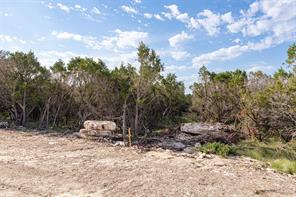 TBD Tract 19 Hank Williams Way - Photo 2