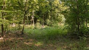 16888 FM 2767 - Photo 11