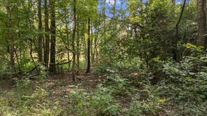 16888 FM 2767 - Photo 12