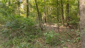 16888 FM 2767 - Photo 13