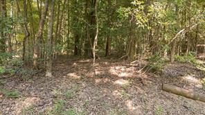 16888 FM 2767 - Photo 17