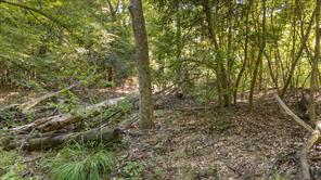 16888 FM 2767 - Photo 18