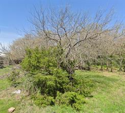 4008 Nebraska Trail - Photo 3