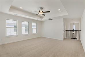 3816 Stars Street - Photo 11