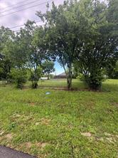 226 Carson Street - Photo 8