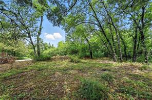 TBD Walton - Photo 4