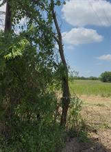 Lot 1 County Road 308 - Photo 1