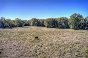 Lot 1 County Road 308 - Photo 2