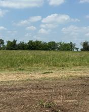 Lot 1 County Road 308 - Photo 4
