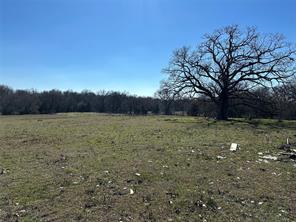 Tract 5 Co Rd 3103 - Photo 12