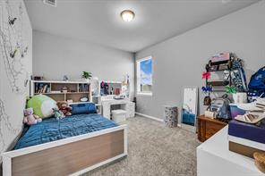 11324 Pallasite Circle - Photo 27