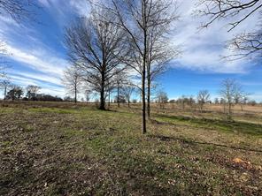 0000 County Road 2425 - Photo 13