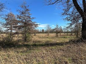 0000 County Road 2425 - Photo 19