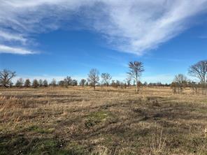 0000 County Road 2425 - Photo 22
