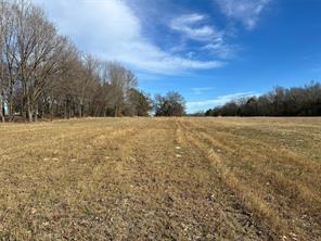 0000 Fm-2948 Road - Photo 11