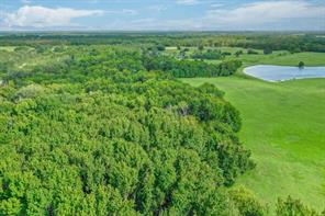 80 +/- Acres Private Road 5317 - Photo 12