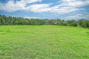80 +/- Acres Private Road 5317 - Photo 18