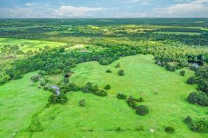 80 +/- Acres Private Road 5317 - Photo 20