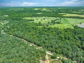 80 +/- Acres Private Road 5317 - Photo 26