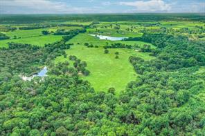 80 +/- Acres Private Road 5317 - Photo 6