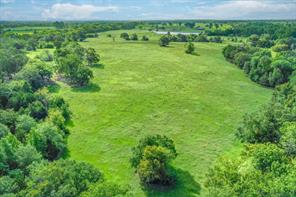 80 +/- Acres Private Road 5317 - Photo 7
