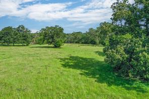 80 +/- Acres Private Road 5317 - Photo 8