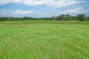 80 +/- Acres Private Road 5317 - Photo 9
