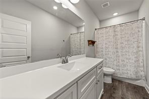 225 Swan Lake - Photo 15