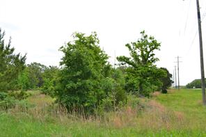 TBD S HWY 69 - Photo 4