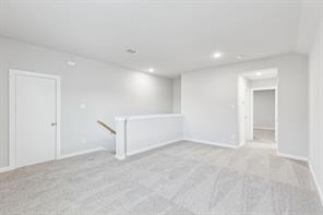1501 Wild Plum Way - Photo 29