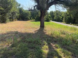 3101 Leo Road - Photo 2