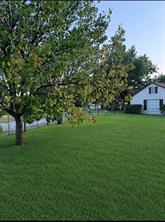 648 County Road 1591 - Photo 17