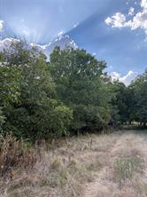 271 Wyatt Road - Photo 1