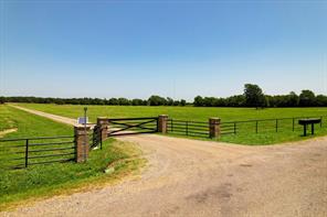 60 Ribbonwood Trail - Photo 1