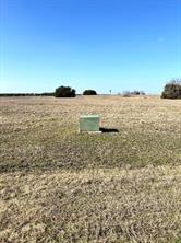 6704 Castle Royle Drive - Photo 1