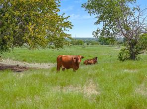 5030 N Fm 148 - Photo 23