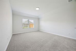 10648 Dillion Street - Photo 14
