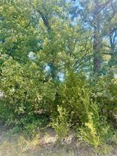 0 Longhorn Road - Photo 2