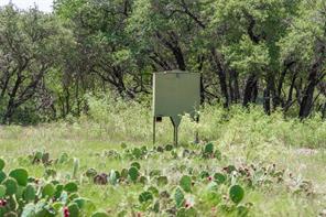 TBD Paisano Road - Photo 24