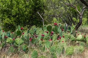 TBD Paisano Road - Photo 29
