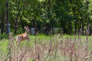 TBD Paisano Road - Photo 37