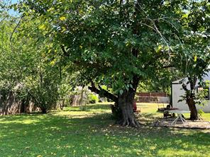 1206 Crestwood Drive - Photo 12
