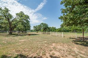 229 Quail Run Road - Photo 37