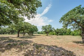 229 Quail Run Road - Photo 38