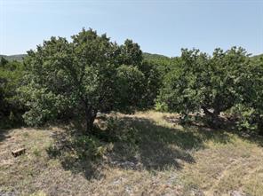1093 Lemons Gap Road - Photo 1