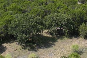 1093 Lemons Gap Road - Photo 10