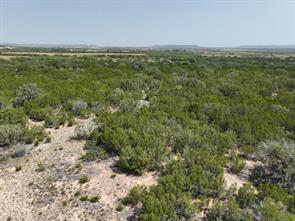 1093 Lemons Gap Road - Photo 6