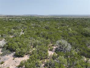 1093 Lemons Gap Road - Photo 7