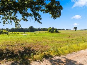 TBD Private Road 607 - Photo 21