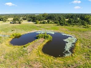 TBD Private Road 607 - Photo 4